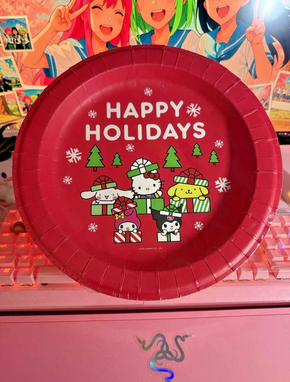 Hello Kitty & Friends Lunch Plates Christmas Presents 16 Paper 10.5” 2024 Sanrio